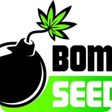 B O M B Cannabis  Seeds  M A S T E R  L O G O